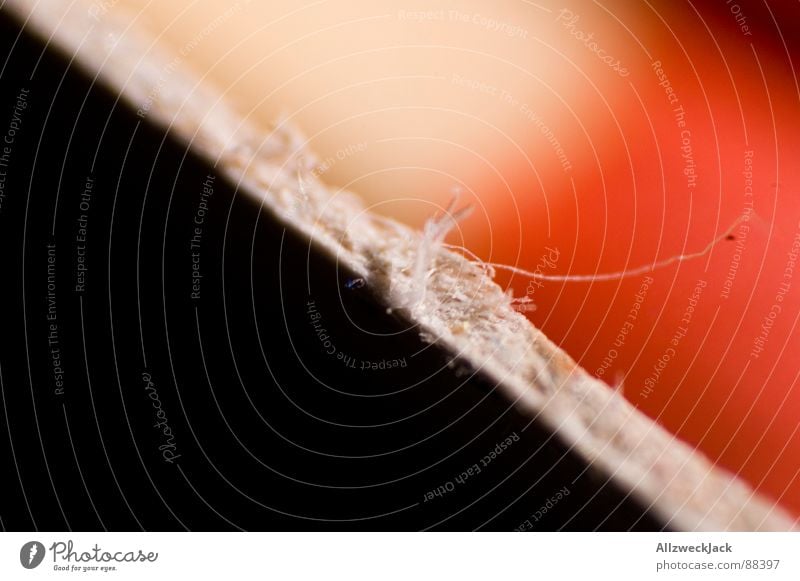 photo puzzles Paper Puzzle Black White Rebus Across Diagonal Match Ignite Fluff Macro (Extreme close-up) Close-up cutting edge Wood fiber Blaze lined box