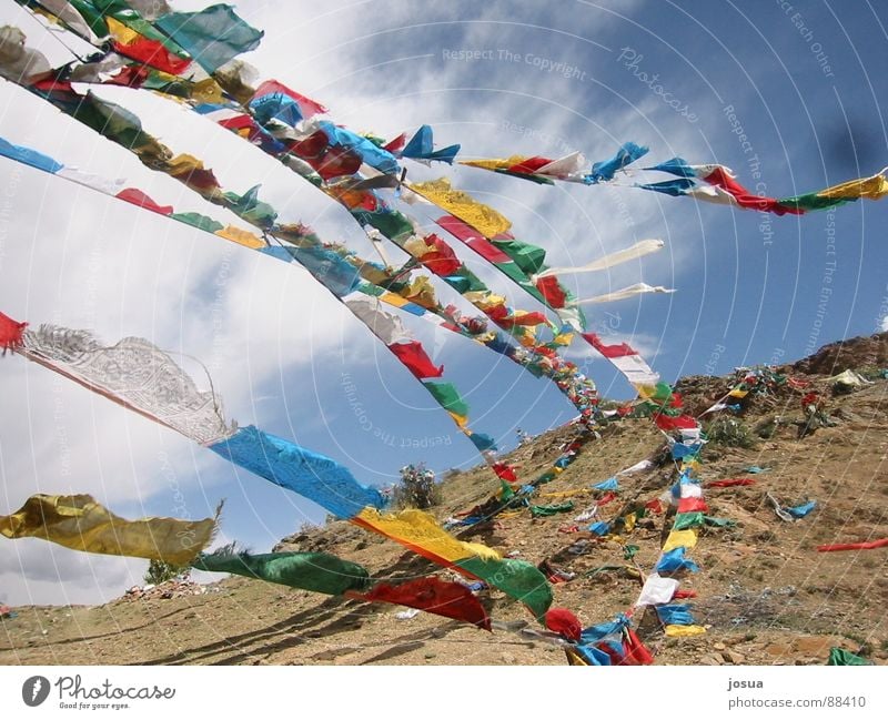 Prayer flags Tibet Flag Swing Asia Wind Colour