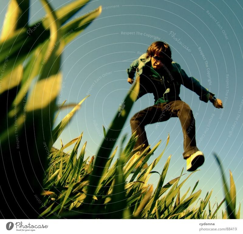 Jump into the field! Hop Spring Meadow Grass Green Style Sunset Posture Blade of grass Worm's-eye view Sunbeam Kick Martial arts Man Fellow Field Emotions