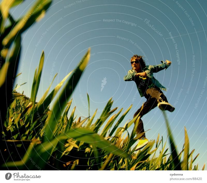 Jump into the field! I Hop Spring Meadow Grass Green Style Sunset Posture Blade of grass Worm's-eye view Sunbeam Kick Martial arts Man Fellow Field Emotions