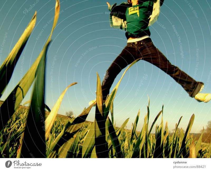 Jump into the field! SECOND Hop Spring Meadow Grass Green Style Sunset Posture Blade of grass Worm's-eye view Sunbeam Kick Martial arts Man Fellow Field