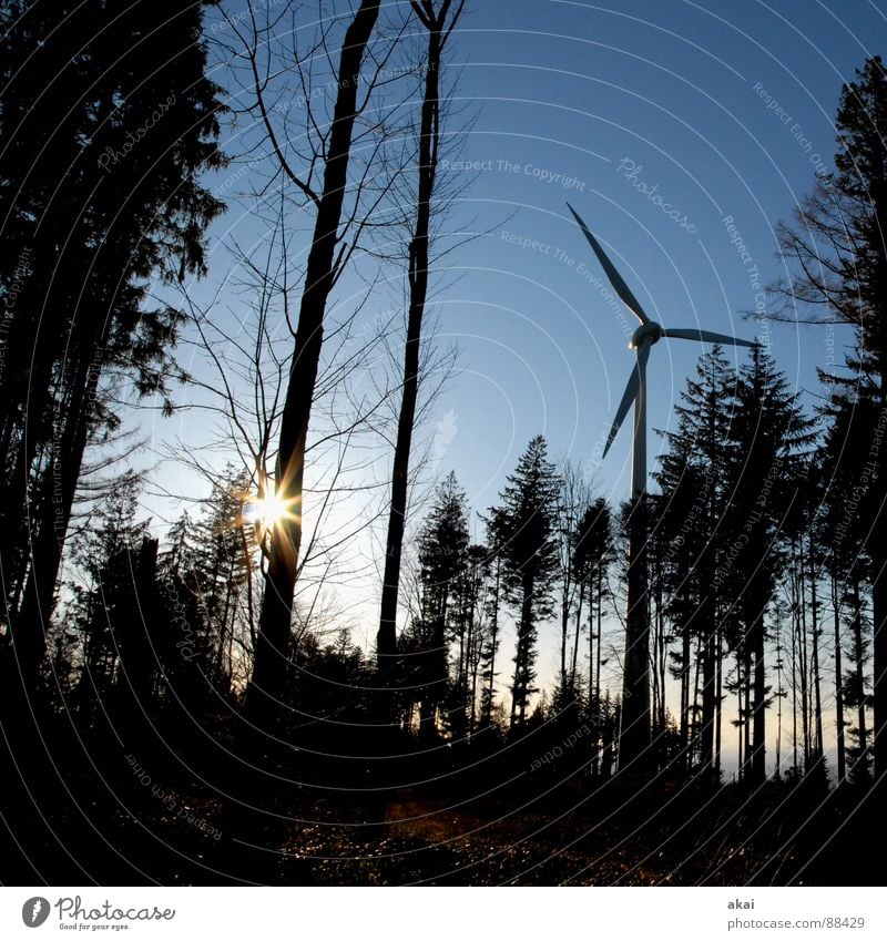 Wind power at Roßkopf Sky Coniferous trees Forest Sky blue Geometry Deciduous tree Perspective Coniferous forest Glade Paradise Clearing Wind energy plant