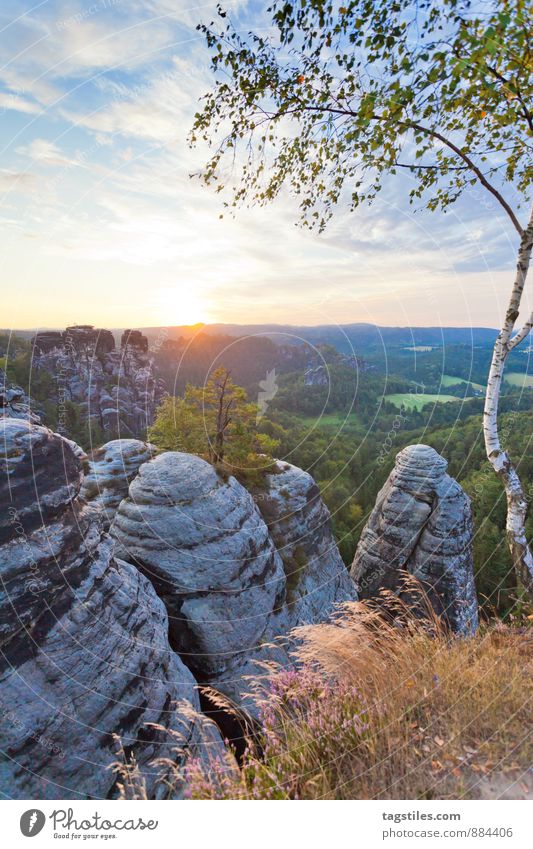 Good morning! Good morning! Elbsandstone mountains Sunrise Rock Mountain Dresden rathen Saxony Vantage point Attraction Tourism Tourist Attraction