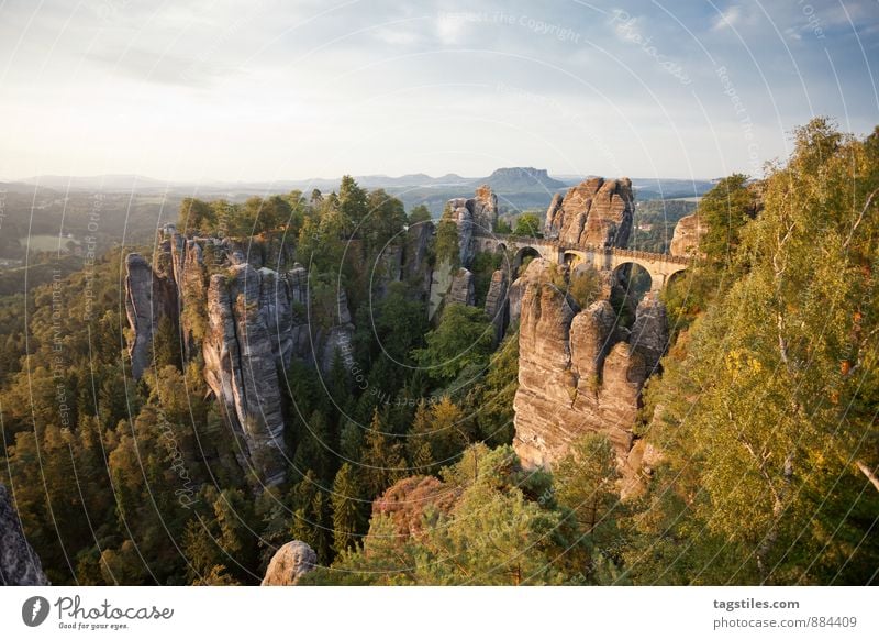 bastion Bastei bastei bridge Elbsandstone mountains Sunrise Bridge Rock Mountain Dresden rathen Saxony Vantage point Attraction Tourism Tourist Attraction