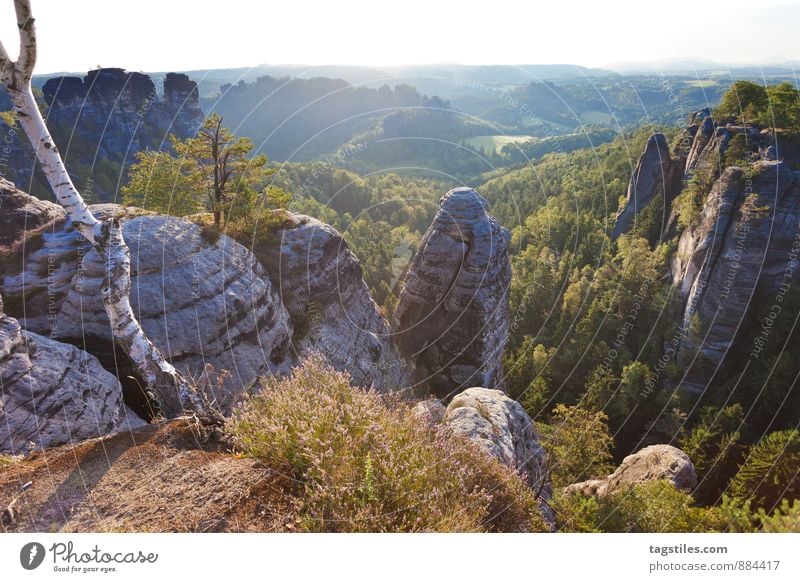 early morning Bastei Elbsandstone mountains Sunrise Bridge Rock Mountain Dresden rathen Saxony Vantage point Attraction Tourism Tourist Attraction