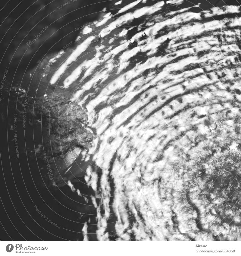 interference Science & Research Elements Water Circle Waves Concentric Fluid Cold Wet Round Black White Movement Accuracy Testing & Control Arrangement