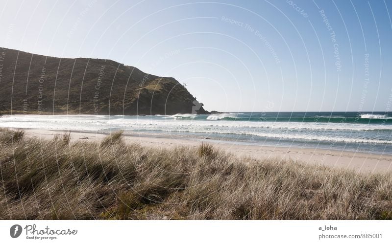 summer. reloaded. Environment Nature Landscape Plant Elements Sand Water Sky Cloudless sky Horizon Summer Beautiful weather Grass Hill Rock Waves Coast Beach