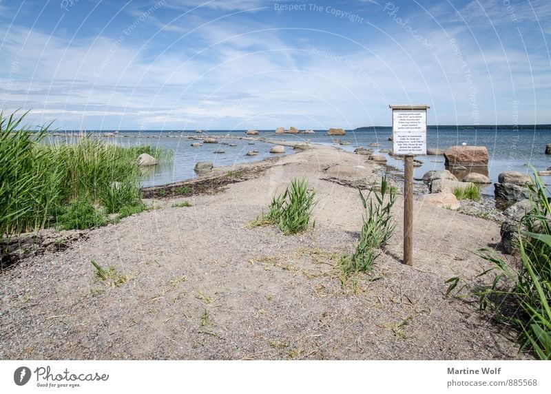 Saartneem II Nature Landscape Sand Water Common Reed Rock Coast Baltic Sea Käsmu Laheema National Park Estonia Europe Idyll Vacation & Travel Calm Colour photo