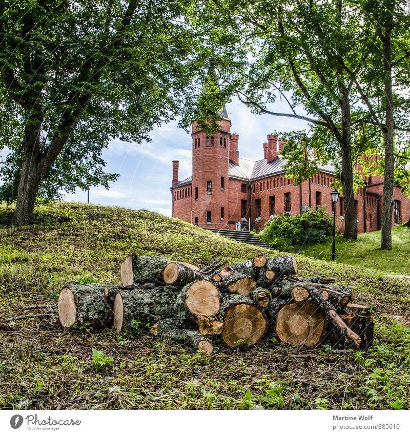 Songaste loss singing guest Estonia Europe Castle Tourist Attraction Town Logging Urbanization Tree trunk Death of a tree Colour photo Exterior shot Deserted