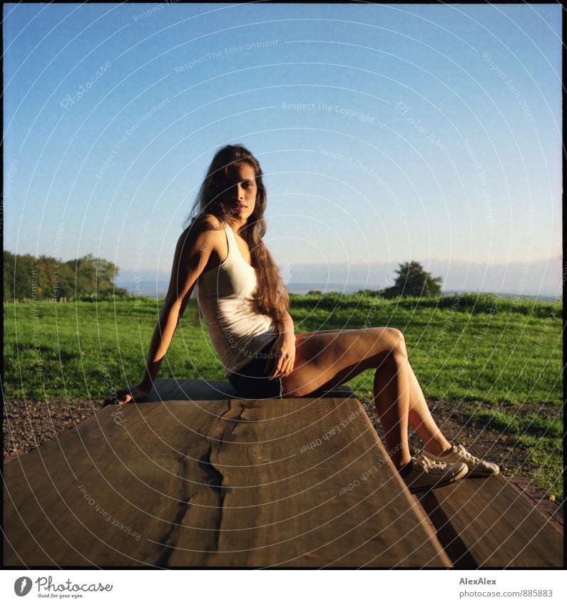 analogue portrait of a young, sporty, long-legged woman sitting in the evening sun on a wooden table Trip Young woman Youth (Young adults) 18 - 30 years Adults