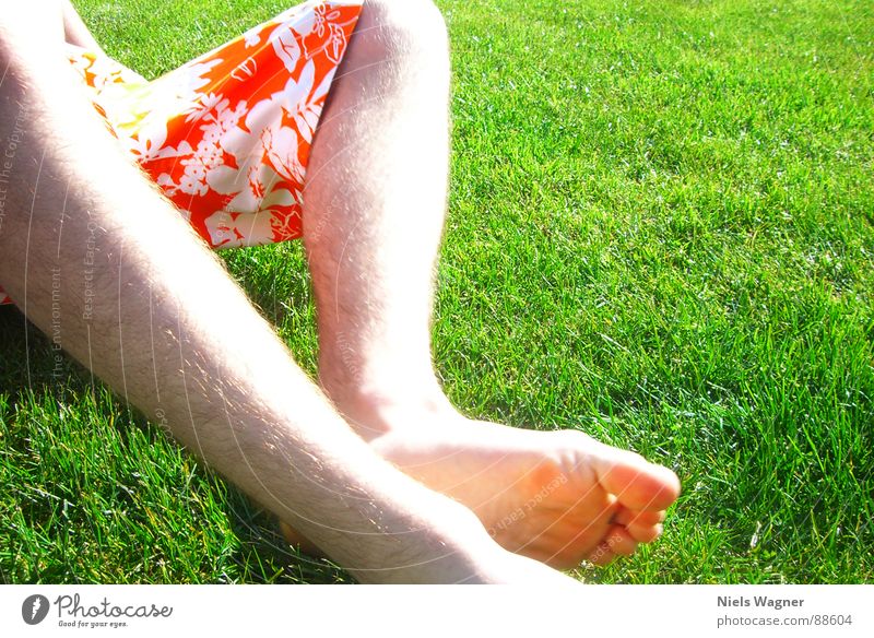 chillin in da sun Grass Light Pants Green Meadow Physics Spring Toes Sleep Sun Legs Skin Orange Warmth Feet Hair and hairstyles Fatigue Barefoot