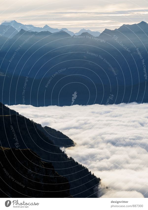 rice pudding for breakfast Mountain Hiking Environment Air Clouds Climate Beautiful weather Fog Forest Alps Valley Peak Austria Breathe Esthetic Tall