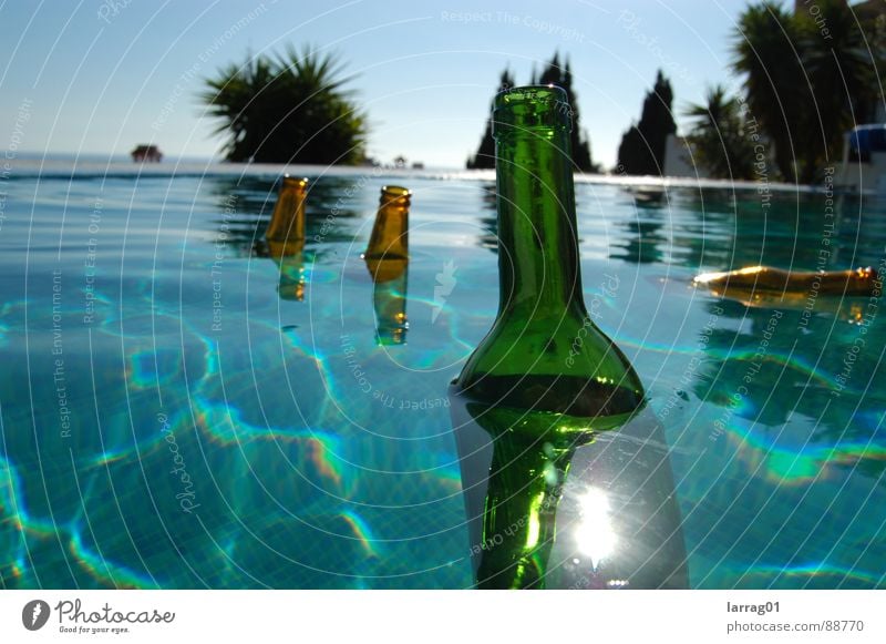 Things in the pool 2 Palm tree Bottle of beer Bottle of wine Turquoise Green Brown Summer Sun Brilliant Float in the water Multicoloured Still Life Hover