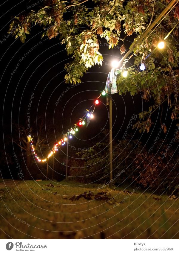 At night it gets colourful Garden Night life Summer Tree Meadow Fairy lights Clothesline Electric bulb Glittering Illuminate Simple Positive Multicoloured Moody