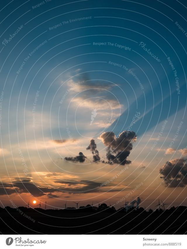 signs Nature Landscape Sky Clouds Sun Sunrise Sunset Sunlight Summer Beautiful weather Field Serene Calm Discover Mysterious Shadow Colour photo Exterior shot