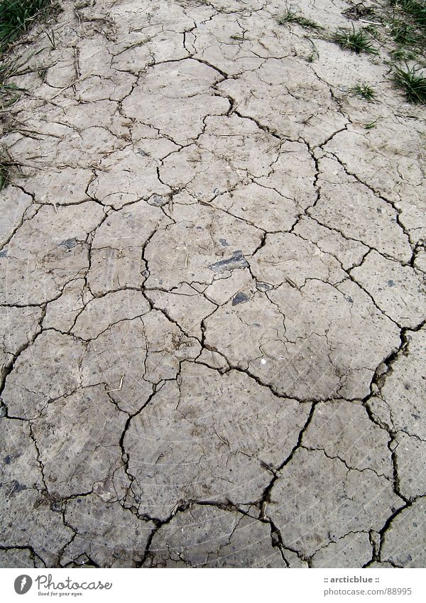 boulevard Dry Hot Silhouette Footpath Footprint Physics Gray Steppe Broken up Crust Hard Indecisive Grass Summer Drought Carbon dioxide Natural gas Greenhouse