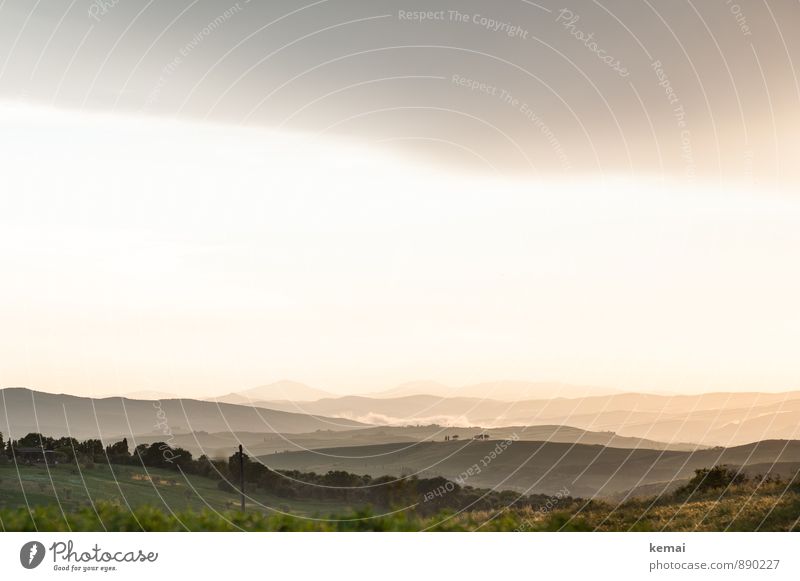 Is this the Shire or what?! Vacation & Travel Tourism Summer vacation Tuscany Italy Environment Nature Landscape Sky Clouds Horizon Sunrise Sunset Sunlight