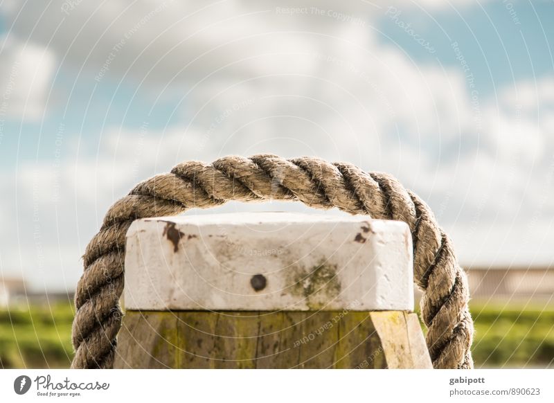 `_ ´ Wood Brash Happiness Sky Rope Wooden stake Summery Subdued colour Exterior shot Detail Deserted Day Light Sunlight Shallow depth of field