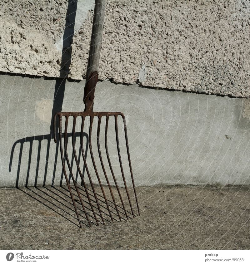 veteran Handicapped Broken Tool Fork Gardening equipment Stripe Pitchfork Brittle Dangerous Geometry Twin Pierce Farm Tidy up Clean Cleaning Free space