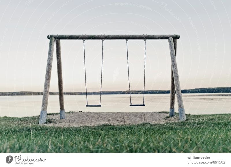 Swing at the lake Leisure and hobbies Playing Vacation & Travel Lake To swing Blue Gray Green Joy Infancy Past Transience Colour photo Subdued colour