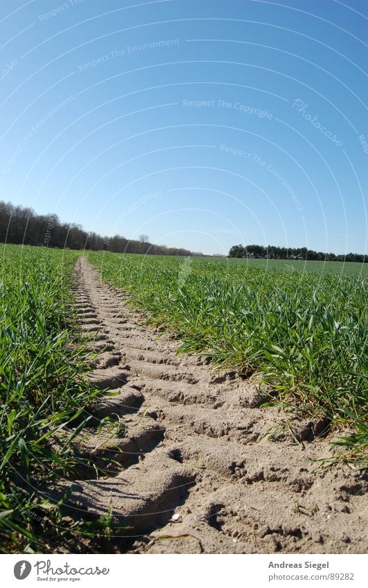 make an impression Field Meadow Footpath Tracks Green Grass Without trace Perplexed Gallun Spring Beautiful April Beautiful weather Impression Footprint