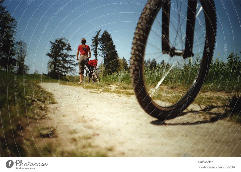 bike tour Bicycle Summer Field Meadow Footpath Afternoon Vacation & Travel Cycling tour Mountain bike In transit Break Round Wayside Stop Descent Green Red