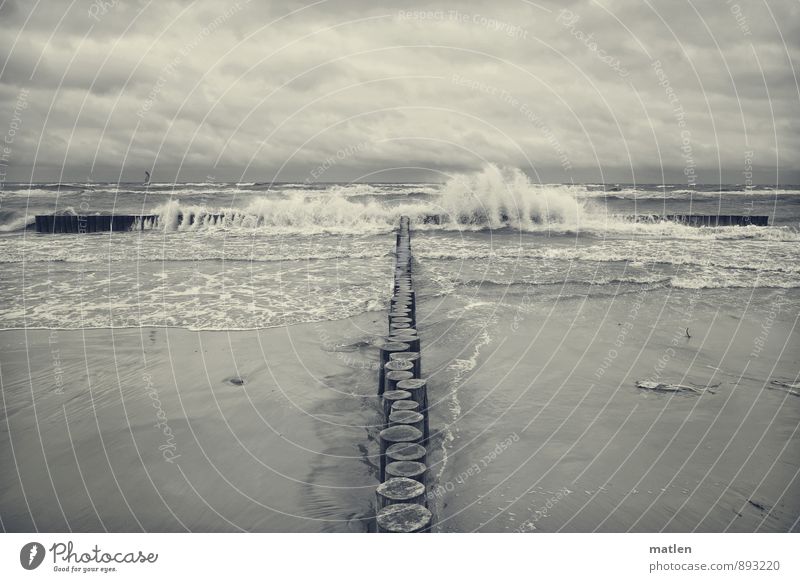 breakwater Nature Landscape Elements Sand Water Sky Clouds Horizon Spring Weather Bad weather Wind Waves Coast Beach Baltic Sea Deserted Black White