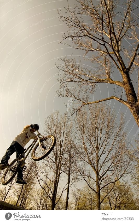 up in the sky III Sky Jump Driving Bicycle Mountain bike Action Style Youth (Young adults) Physics Summer Tree Sports ground Park Amusement Park Funsport Upward