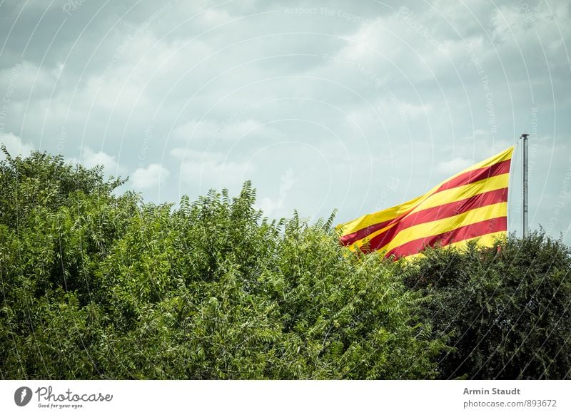 Viva España Nature Air Sky Clouds Wind Tree Bushes Spain Sign Flag Hang Authentic Yellow Red Vacation & Travel Concealed Ensign Europe Patriotism Colour photo