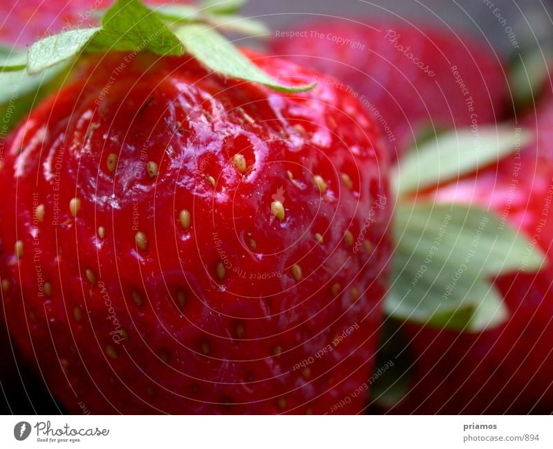 strawberry country Sweet Nutrition Macro (Extreme close-up) Strawberry Fruit