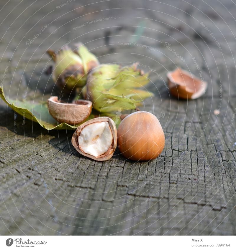 Hazelnuts from Turkey Food Nutrition Organic produce Nature Autumn Leaf Forest Wood Healthy Delicious Brown Nutshell Hazelnut kernel Hazel brown