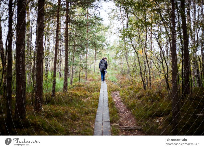 vandringsled II Environment Nature Landscape Plant Earth Summer Forest Bog Marsh Movement Going To enjoy Walking Hiking Esthetic Authentic Exceptional Threat