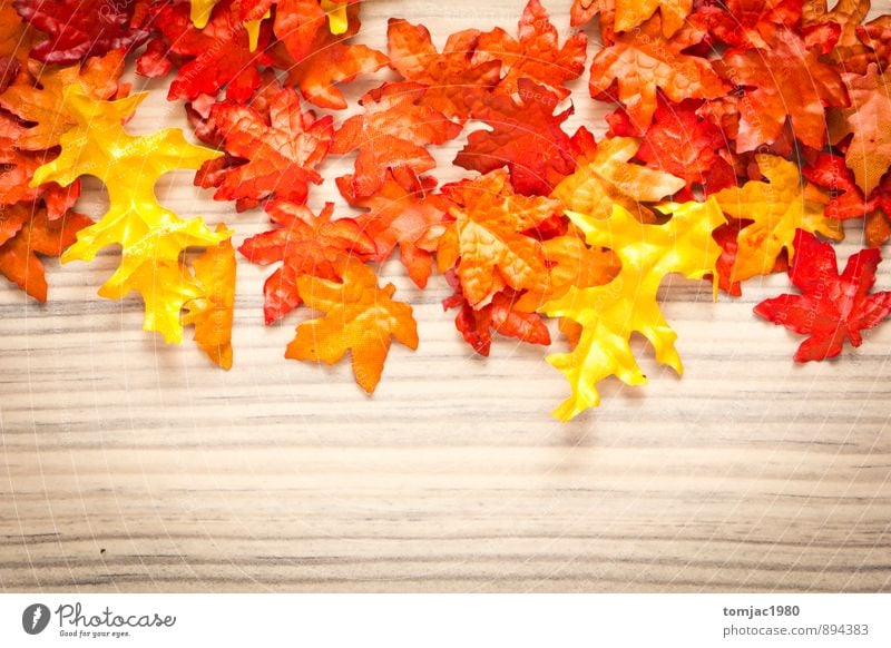 foliage on a wooden background Harmonious Meditation Decoration Nature Plant Autumn Leaf Wood Brown Break Autumn leaves autumn evening Autumnal colours Rustic