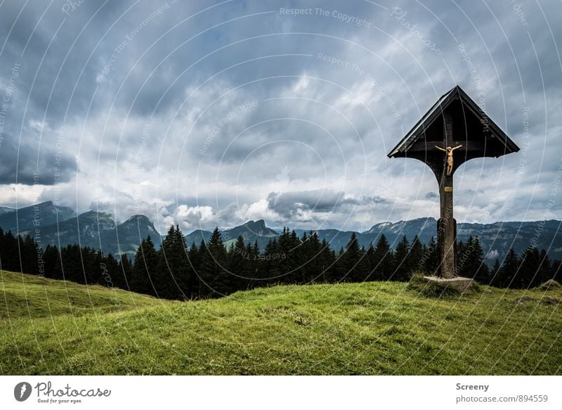 Near the sky... Vacation & Travel Tourism Trip Mountain Hiking Nature Landscape Sky Clouds Summer Bad weather Meadow Forest Hill Alps Söllereck Allgäu Alps Peak