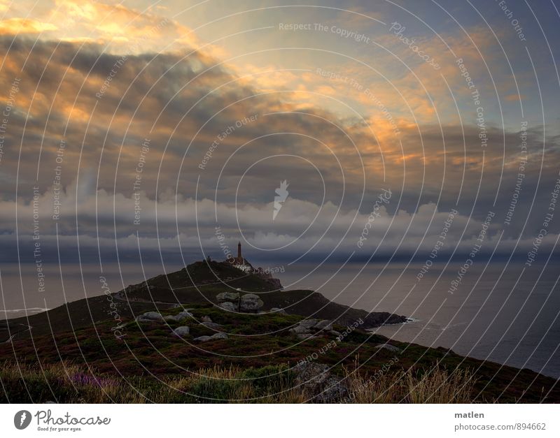 at the end of the world I Landscape Plant Sky Clouds Storm clouds Horizon Sunrise Sunset Summer Weather Bad weather Grass Moss Rock Coast Ocean Deserted