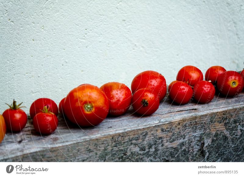 tomatoes Tomato Row Harvest Thanksgiving Lie Storage Stored Crowd of people Garden Garden plot Nutrition Healthy Eating Dish Food photograph Vitamin Fruit