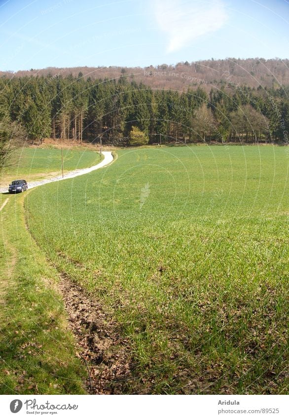 drive to the green Forest Meadow Fir tree Field Clouds Leisure and hobbies Vacation & Travel Home country Spring Driving Green Mixed forest Sky Car