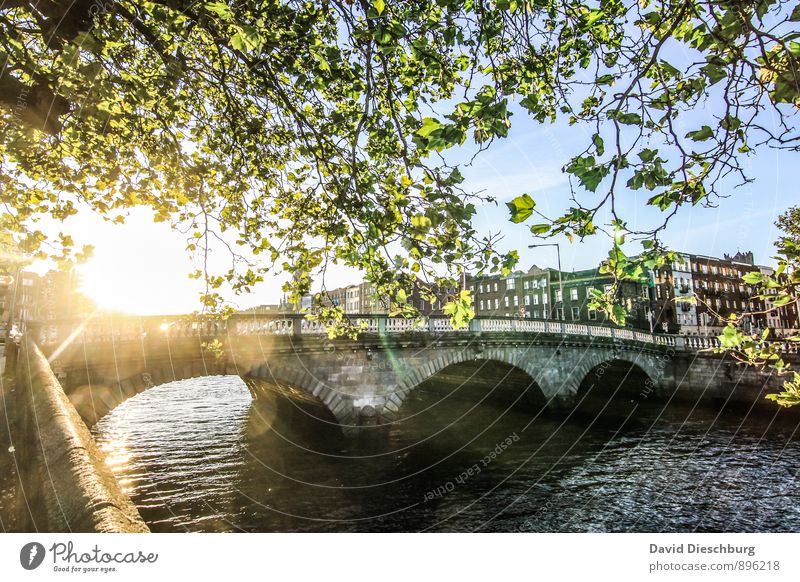 Glory bridge Vacation & Travel Tourism Sightseeing City trip Summer Summer vacation Spring Autumn Beautiful weather Tree River bank Town Capital city Port City