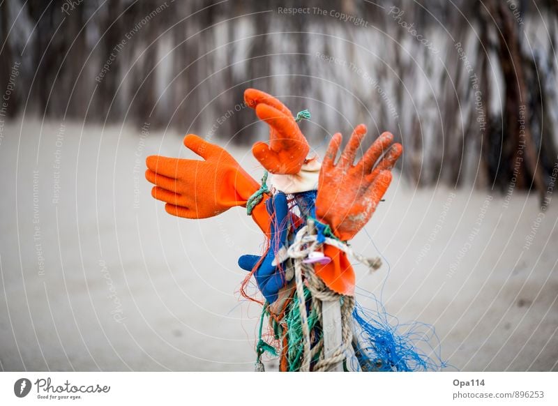 gloves Environment Nature Summer Coast Beach North Sea Ocean Island Sand Wood Wait Cool (slang) Blue Gray Green Orange Attachment "Gloves Net Flotsam and jetsam