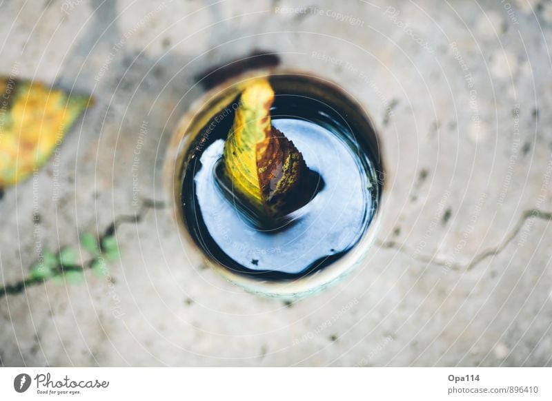 canned soup Leaf Packaging Tin Stone Swimming & Bathing Blue Yellow Gold Gray Adventure "Metal metal can Water reflection Autumn Rust Transience" Colour photo