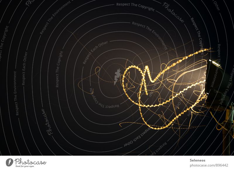 light chain Night life Moth Group of animals Lamp Line Stripe Dark Light Light (Natural Phenomenon) Flare Fairy lights Beam of light Visual spectacle