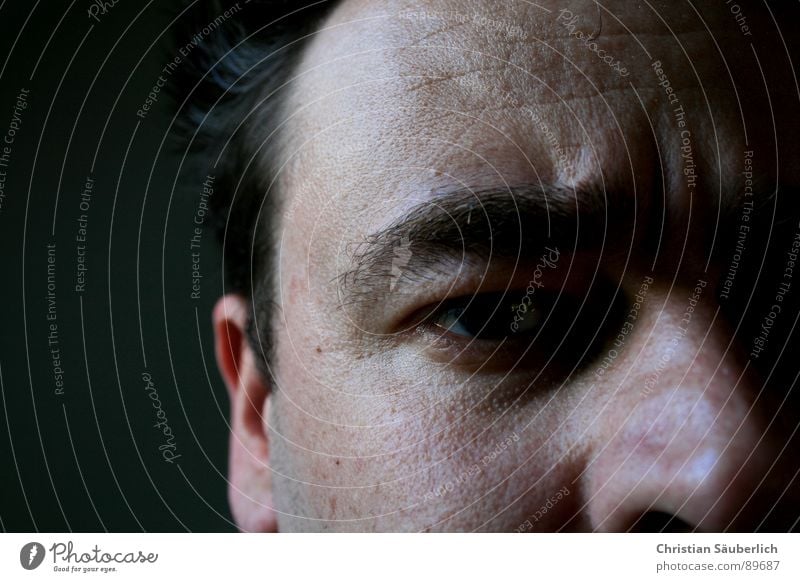 ME, MYSELF AND EYE Eyebrow Nostril Nasal bone Portrait photograph Forehead Man Eyes Nose Ear Hair and hairstyles Skin me oneself Wrinkles