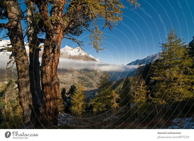 and the mountain calls Vacation & Travel Tourism Trip Summer Summer vacation Mountain Hiking Nature Landscape Cloudless sky Alps Beautiful Blue Green Calm