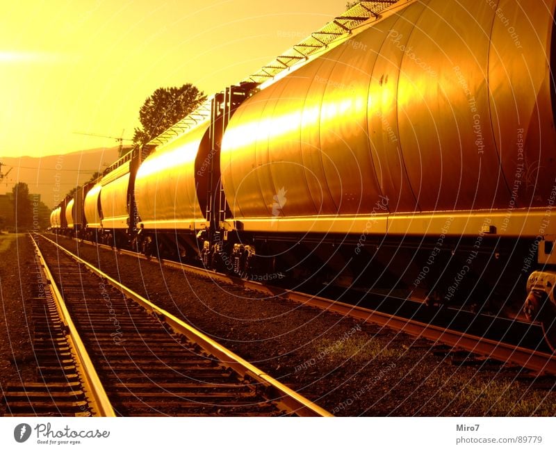 long journey Railroad Railroad tracks Canada Sun Freight train Logistics Railroad car Central perspective Sunlight Warm light Warm colour Long Building line