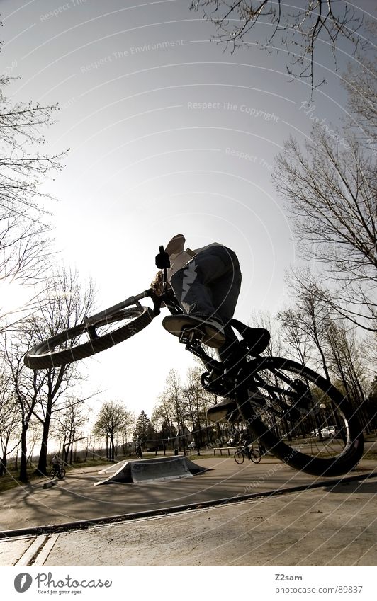 up in the sky V Sky Jump Driving Bicycle Mountain bike Action Sports Style Youth (Young adults) Physics Summer Tree Sports ground Park Amusement Park Stand