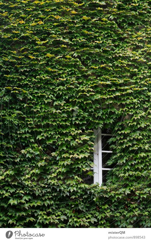 grown together. Art Esthetic Contentment Window Shutter Window pane Window board View from a window Window frame Window transom and mullion Glazed facade Green