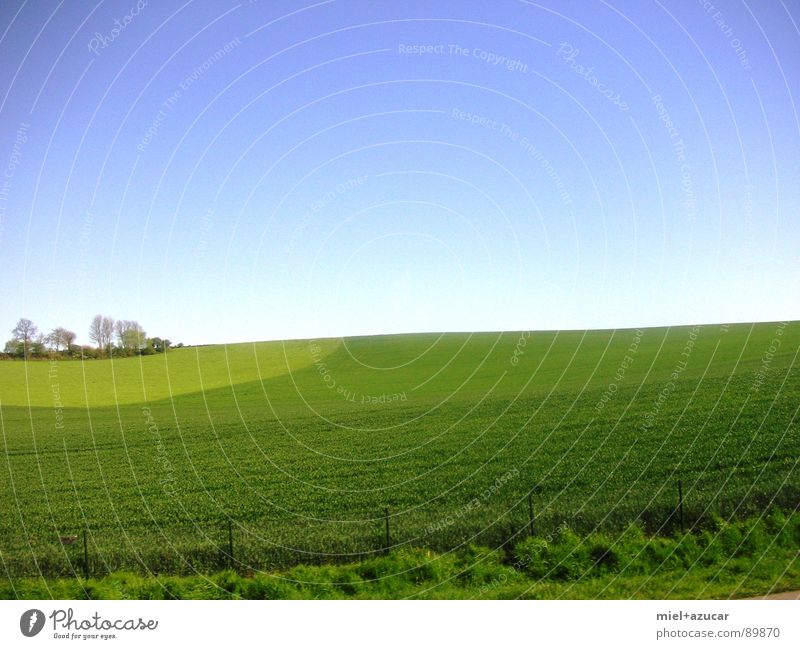 horizon Joy Healthy Far-off places Freedom Summer Landscape Spring Positive Blue Green Optimism Colour Idyll Day Colour photo Exterior shot Deserted