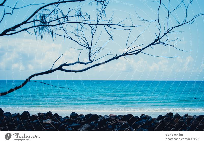 Lots of blue sea and a few clouds. On the beach there are many stones and a few tree branches protrude into the picture. Relaxation Calm Leisure and hobbies