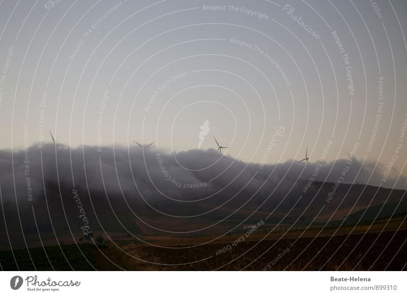 boasting Nature Landscape Elements Sky Summer Weather Wind Fog Sicily Esthetic Dark Wild Blue Brown Gray Energy Wind energy plant Fog bank Envelop