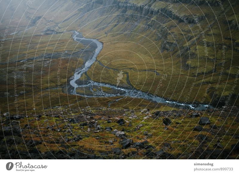 I'm in Iceland. Nature Landscape Autumn Moss Brook River Brown Green Riverbed Valley valley view Carpet of moss Colour photo Subdued colour Exterior shot